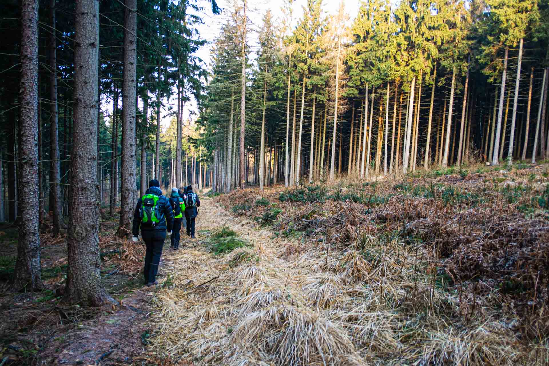 Wanderung Hoher Schneeberg (Děčínský Sněžník), auch ohne Schnee schön.