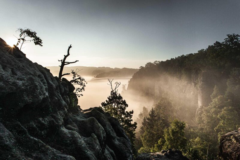 Geritzt – der Malerweg in der Sächsischen Schweiz.