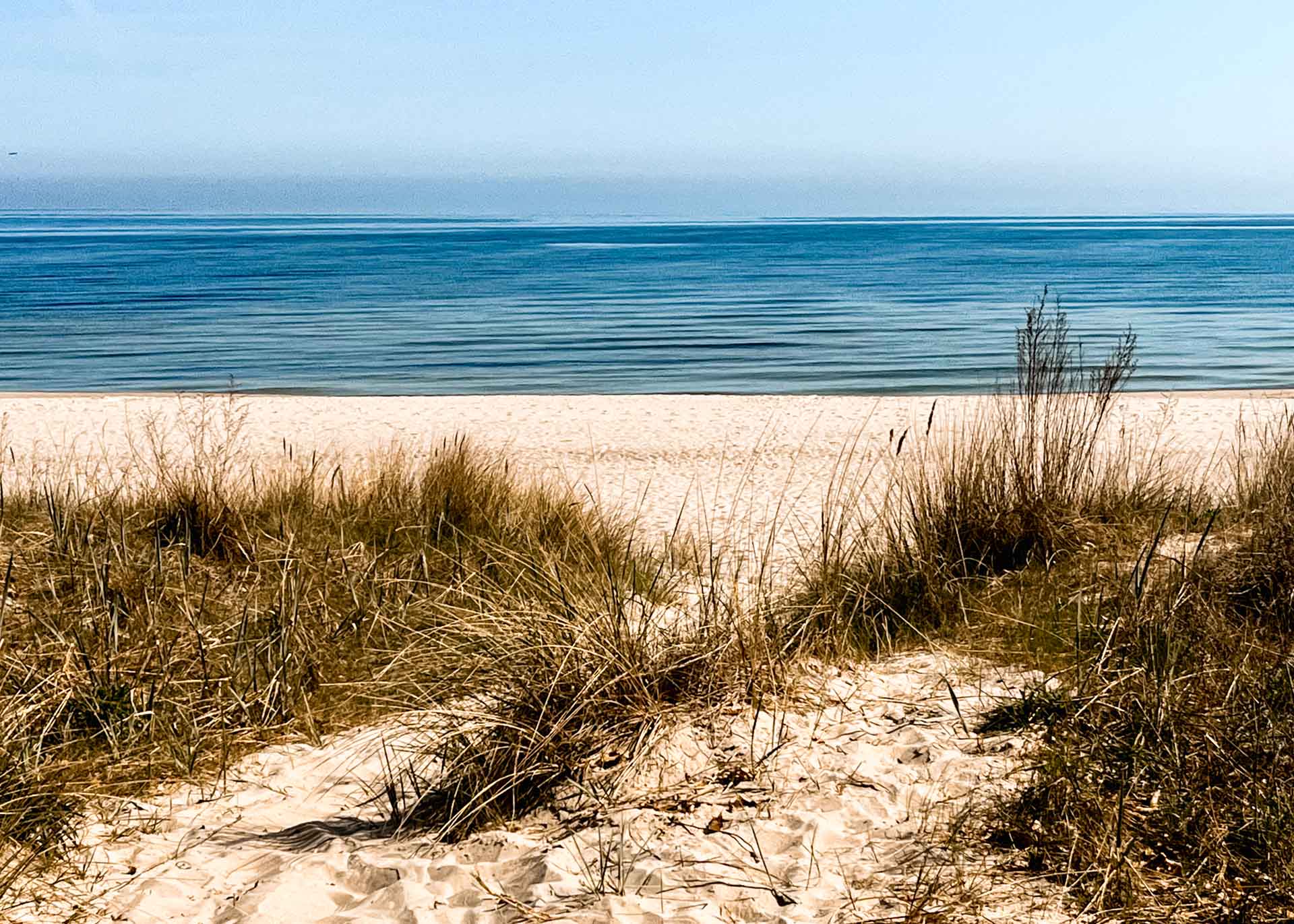 Vom Hundehalter und dem 1. Mai an der Ostsee …