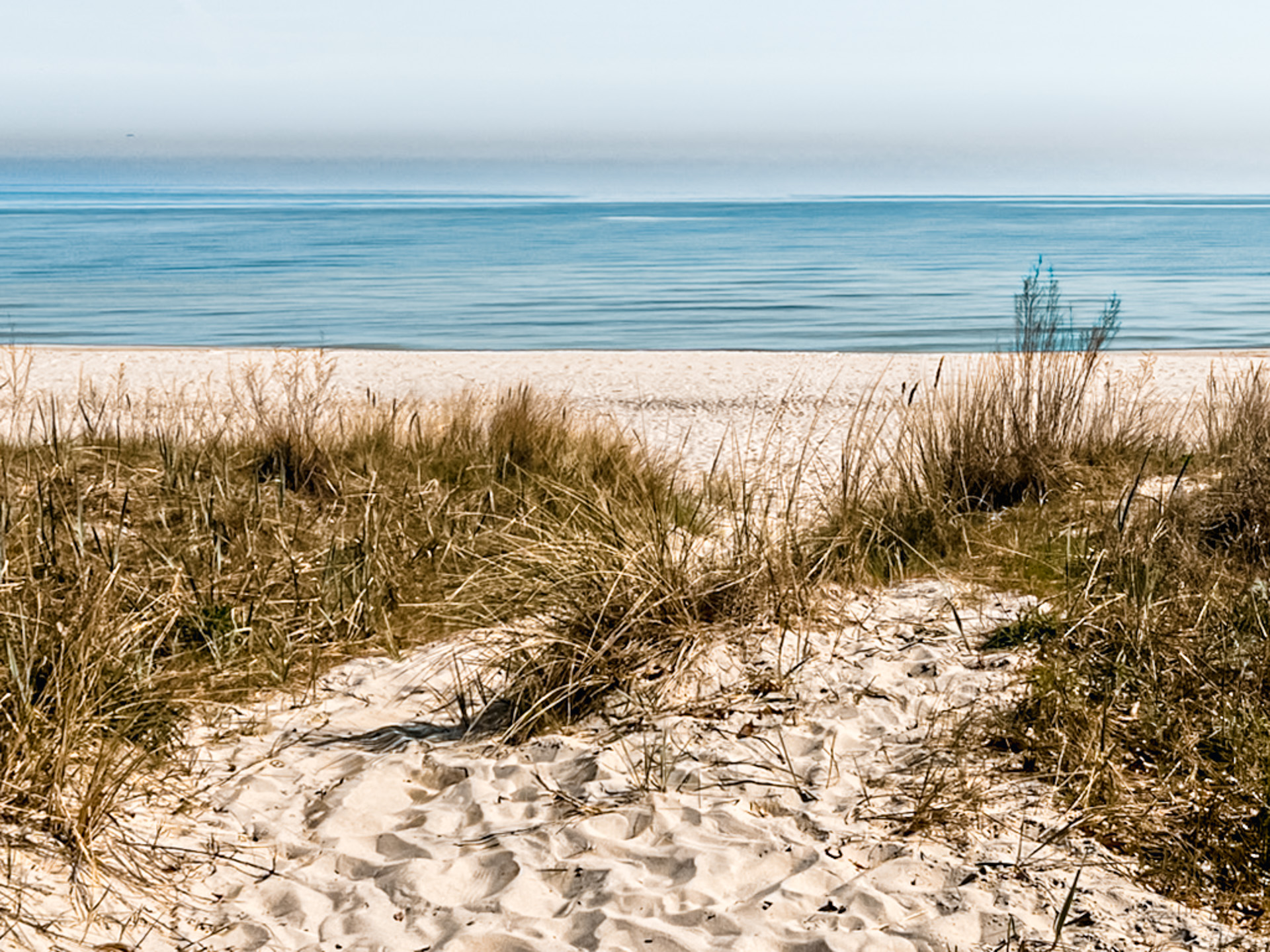 Vom Hundehalter und dem Mai an der Ostsee