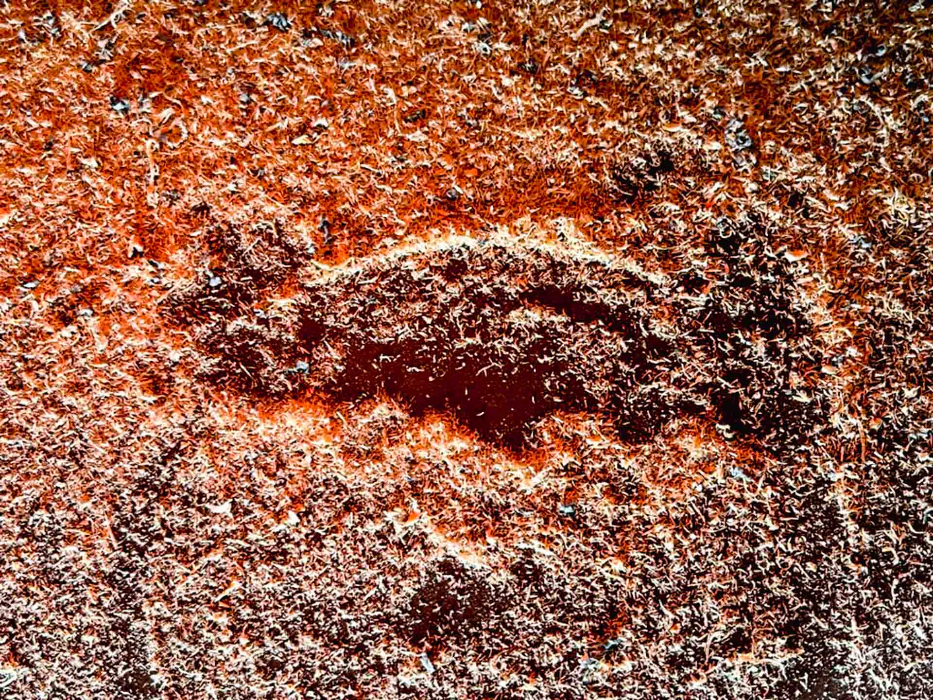 Frischwasser ablassen, ohne im Grand Canyon S die Matratzen hochzuheben.